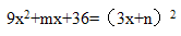 星光公考