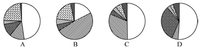 xingguang
