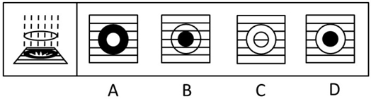 xingguang