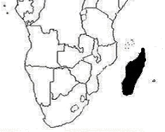 星光公考