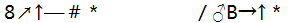 星光公考