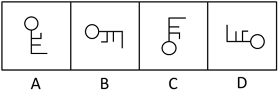 xingguang