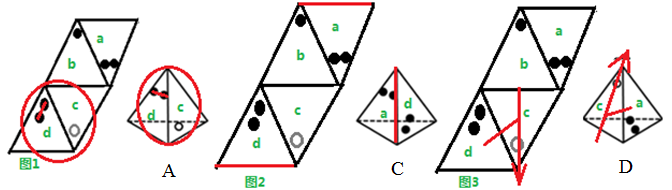 xingguang