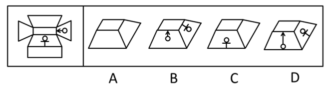 xingguang
