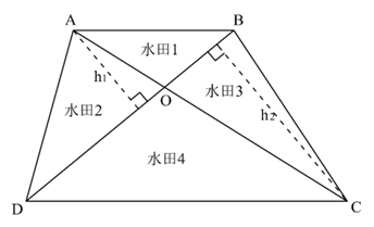 星光公考