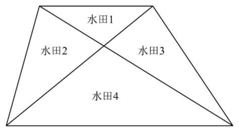 星光公考