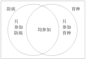 xingguang