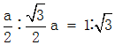 星光公考