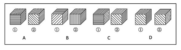 xingguang