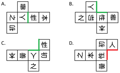 xingguang
