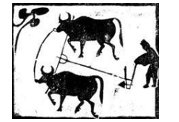 xingguang