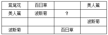 xingguang