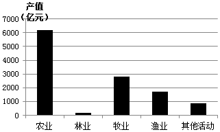 xingguang